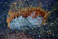Fumarole