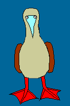 Rotfu&szlig;t&ouml;lpel